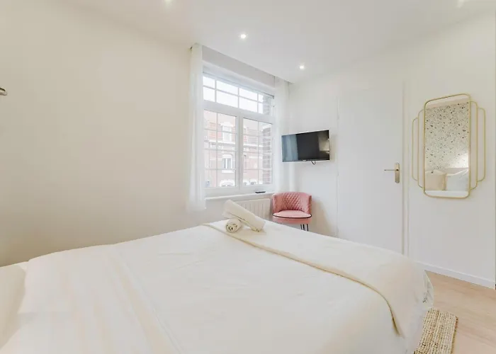 Joli 20m2 Cozy Et équipé Avec Terrasse ! Appartement Marcq-en-Barœul